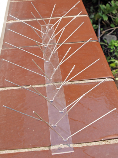 Taubenabwehr, Taubenschutz, Spikes, 4 Reihig