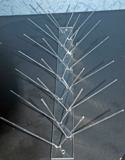 Taubenabwehr, Taubenschutz, Spikes, 4 Reihig